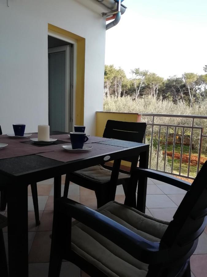 Apartman Ines بيبينيا المظهر الخارجي الصورة